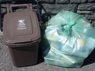 Cardiff currently collects dry recyclables commingled in a green back (right) every week alongside weekly food waste collections (left) 